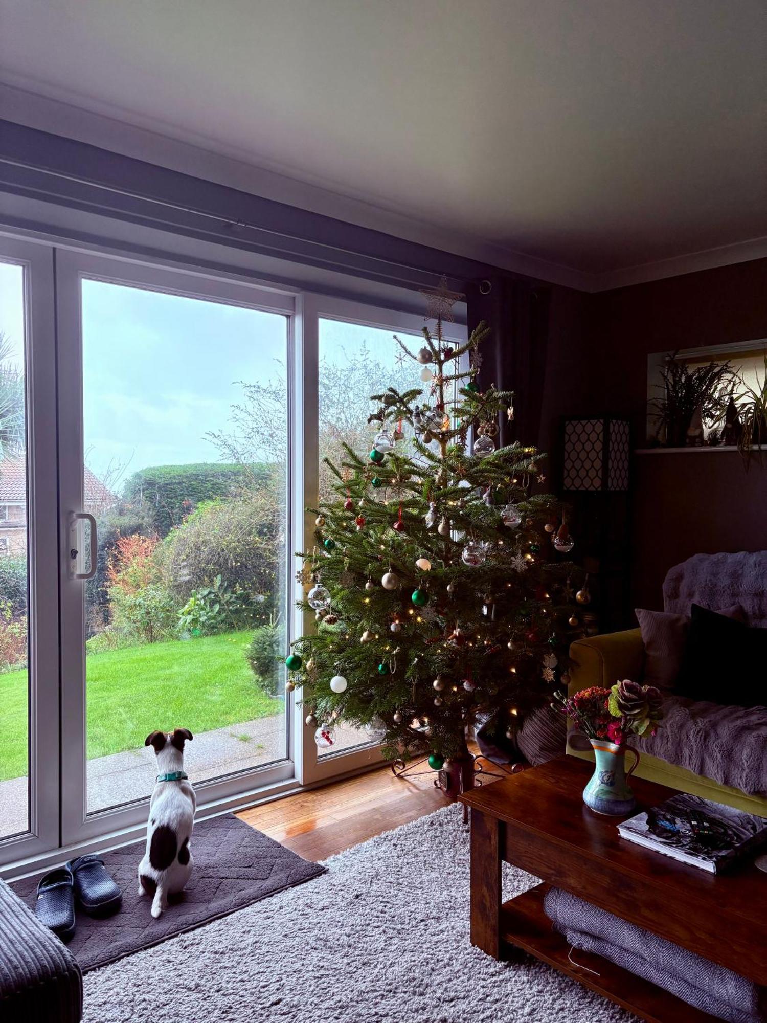 Stunning Charmouth Property With Bay Views! Экстерьер фото
